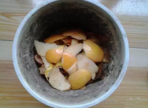 水果皮发酵
