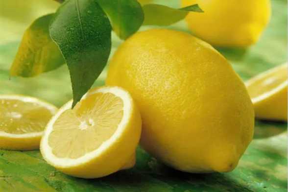 柠檬的常见品种