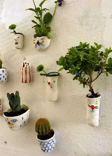 墙上植物花样多