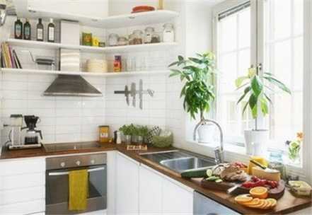 厨房适宜布置什么绿色植物