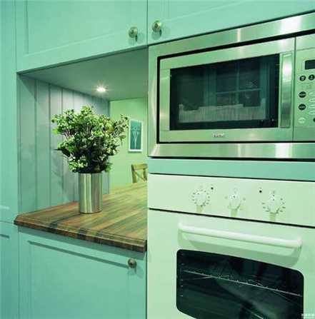 厨房适宜布置什么绿色植物