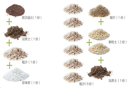 多肉植物的部分土壤配方