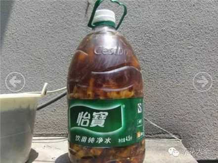 发酵3个月