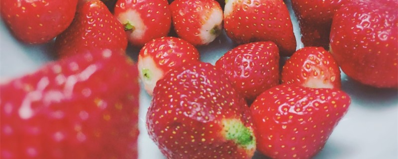 草莓干叶子是怎么回事