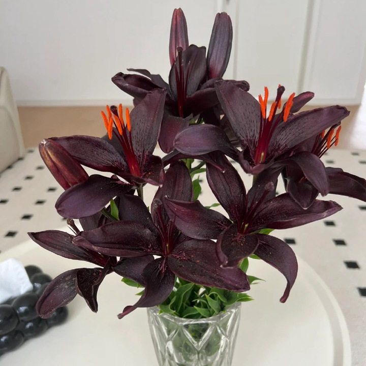 1766124797875027.jpg 十大阴气最重的花盘点