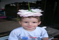 花朵超20公分的月季