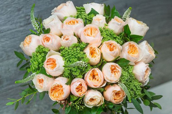 月季排行榜前十名