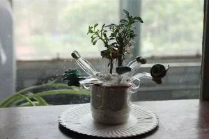 塑料瓶编花造型花盆教程