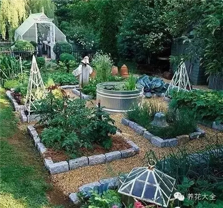 花园菜园